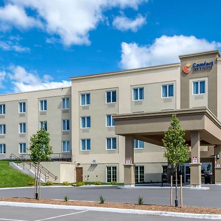 Comfort Inn & Suites Greater Napanee Ngoại thất bức ảnh